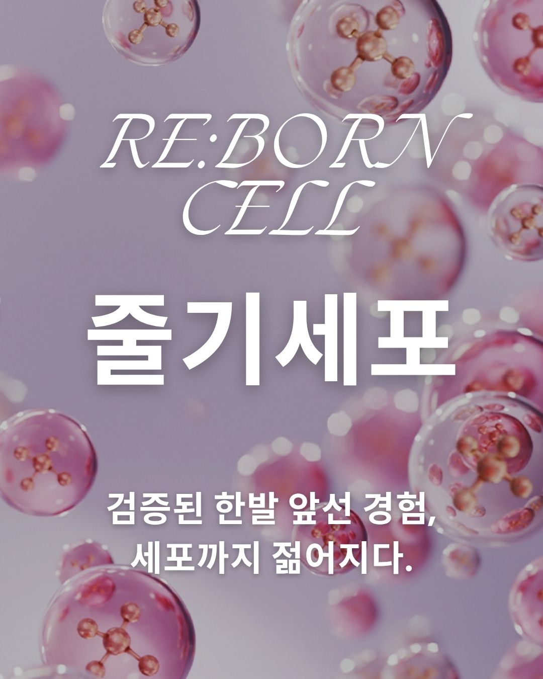 의정부줄기세포