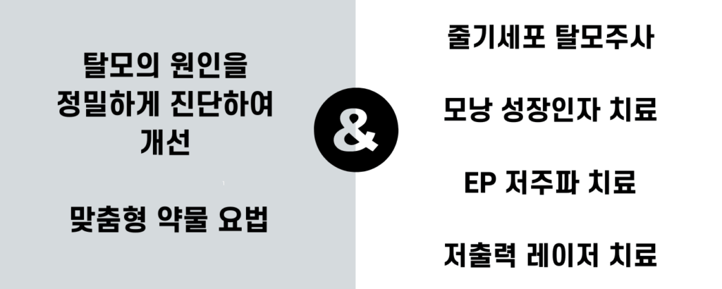 의정부 탈모치료 의정부 탈모치료