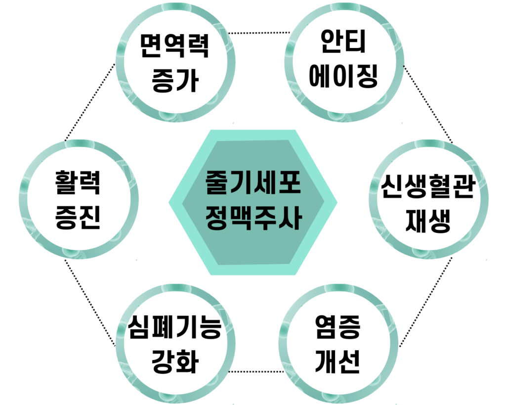 의정부 피부과 의정부 피부과