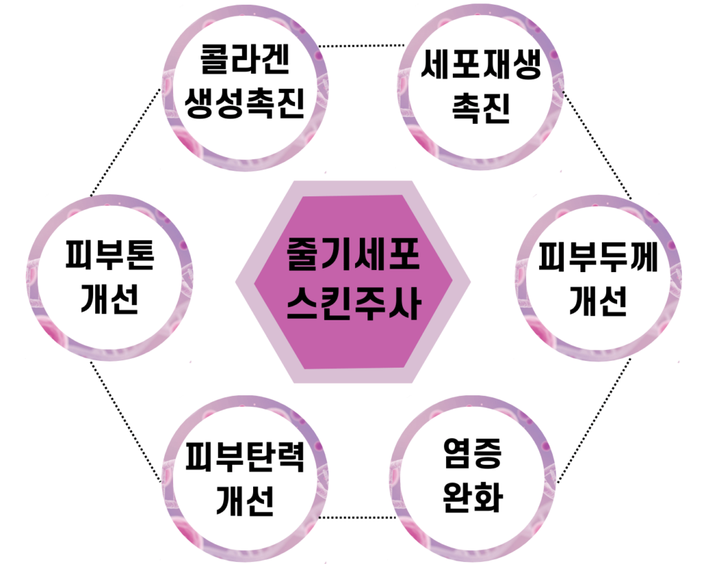 의정부 피부과 의정부 피부과