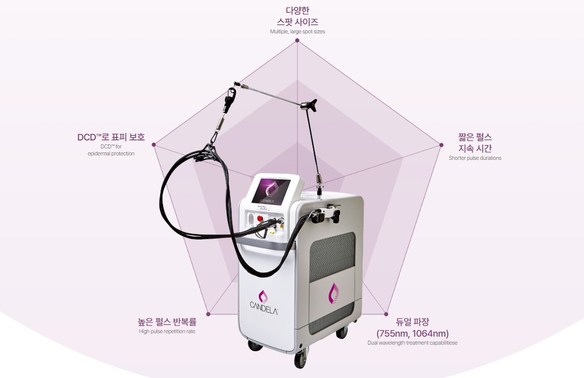 의정부제모 의정부제모